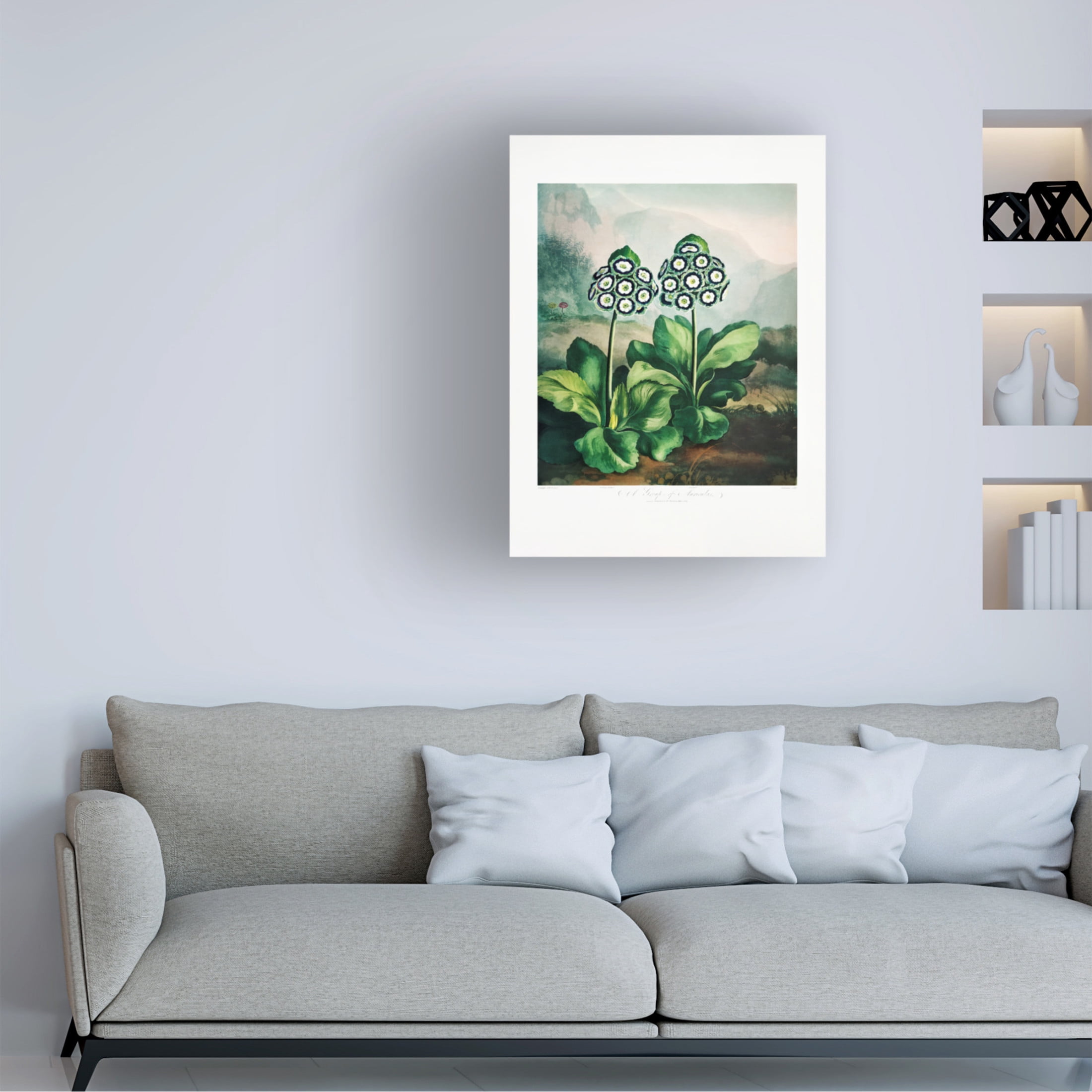 Trademark Fine Art Pictufy  A Group of Auriculas from The Temple of Flora 2 1807 Canvas Wall Art
