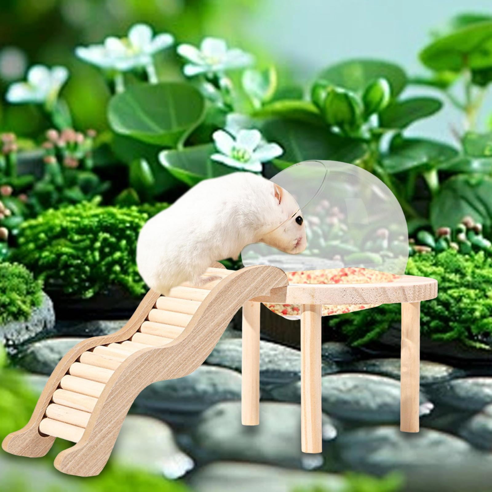 oshhni Glass Hamster House with Wooden Ladder for Chipmunk Guinea Pig Small Animals S