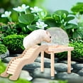 thumbnail image 5 of oshhni Glass Hamster House with Wooden Ladder for Chipmunk Guinea Pig Small Animals L, 5 of 8