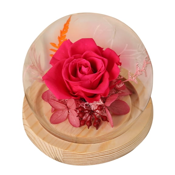 Preserved Real Flower Glass Dome Eternal Carnation Rose Display For Home Tabletop Decor Gift