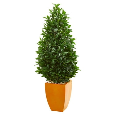 Nearly Natural 57" Bay Leaf Artificial Topiary Tree in Orange Planter UV Resistant (Indoor/Outdoor)