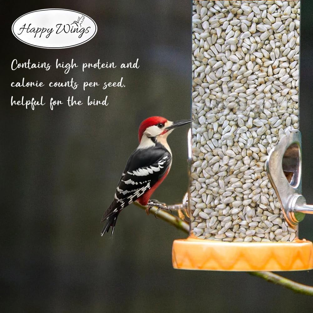 Happy Wings 4lbs No Grow Safflower Seed Wild Bird Seed -Food for Wild Birds - Dry, 2 Pack