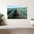 thumbnail image 2 of Elephant Stock Agave Farm Wall Art - Horizontal Canvas Wall Art - Living Room Wall Decor - Nature Canvas - Blue And Brown Decor - 12" x 8", 2 of 8