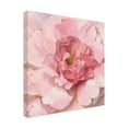 thumbnail image 4 of Trademark Fine Art 'Blushing Peony' Canvas Art by Danhui Nai, 4 of 4