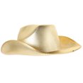 thumbnail image 2 of Sombrero de vaquera Sombrero de vaquero Sombrero occidental Brillo Lustre Sombrero de vaquero Fiesta Sombrero de vaquero Prop, 2 of 5