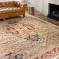thumbnail image 4 of Alexander Home  Luxe Antiqued Distressed Boho Area Rug 7'10" x 10' Oriental, Floral & Botanical, Geometric 8' x 10' Accent, Indoor Living Room,, 4 of 5