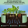 thumbnail image 6 of GAOMON 6x3x1 FT Oval Raised Garden Bed, 2 Pcs Galvanized Raised Beds for Outdoor, Planter Raised Boxes with Open-Ended Base,Large Metal Raised Planter Beds for Vegetables,Flowers,Green, 6 of 9
