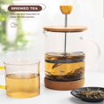 thumbnail image 3 of Cafetière/théière à Piston 12 Oz en Verre Borosilicate Durable avec Poignée, 3 of 5
