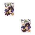thumbnail image 3 of Naiovety Tipo de adorno de flores prensadas en relieve artístico de flores secas naturales tipo 3 Tipo 1 2piezas, 3 of 6