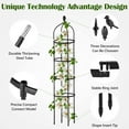 thumbnail image 5 of Rongsi Garden Trellis,Adjustable Garden Obelisk Trellis for Climbing Plants, 6FT Tall Garden Obelisk Trellis Climbing Plant Outdoor Support Potted Vine Flower Rose,Vegetable, 5 of 12
