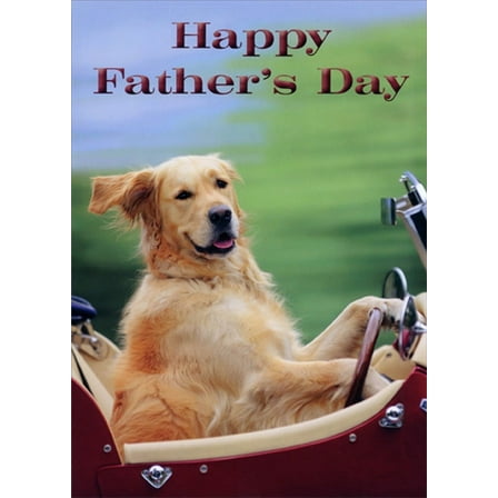RSVP Dog Driving Red Car Humorous : Funny Father's Day Card