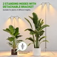 thumbnail image 6 of Fyniora 3-Heads Grow Lights for Indoor Plants, Full Spectrum Plant Growing Lamps with 15-62inches Height Adjustable Stand,Aluminum Alloy Plant Light with 10 Dimmable Levels&4/8/12H Auto on/off Timer, 6 of 7
