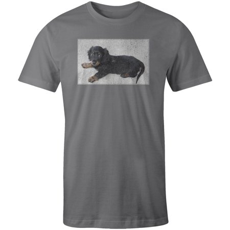 Mad Marble Men S Longhair Dachshund Dog Puppy T Shirt Walmart Com