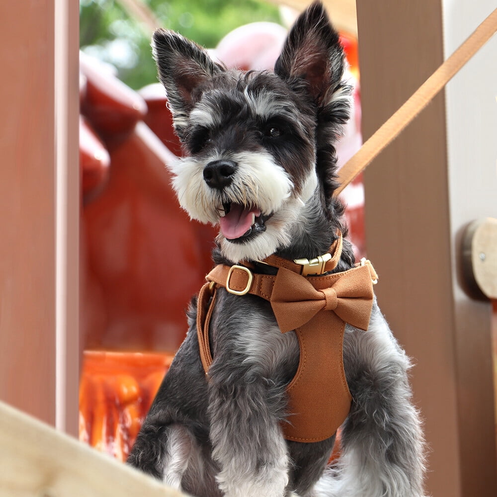 Didog Cute Small Dog Vest Harness & Collar & Leash & Poo Bag Holder set for Puppy Cats Pet Yorkie