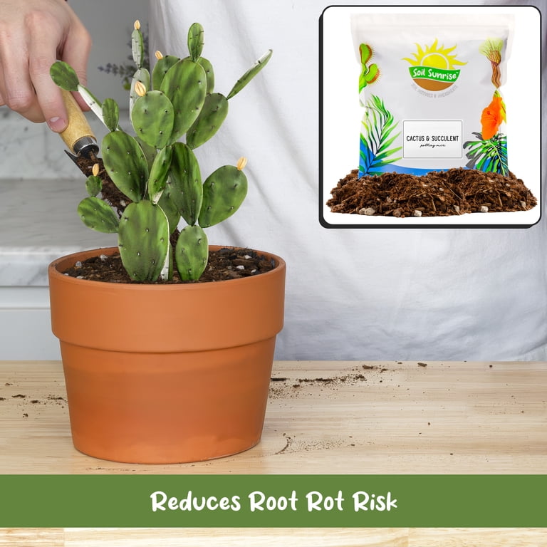 Soil Sunrise- 8qt Cactus and Succulent Potting Mix, Fast Draining and Desert-Style Gritty