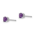 thumbnail image 6 of 14K White Gold 4mm Amethyst Earrings, 6 of 7