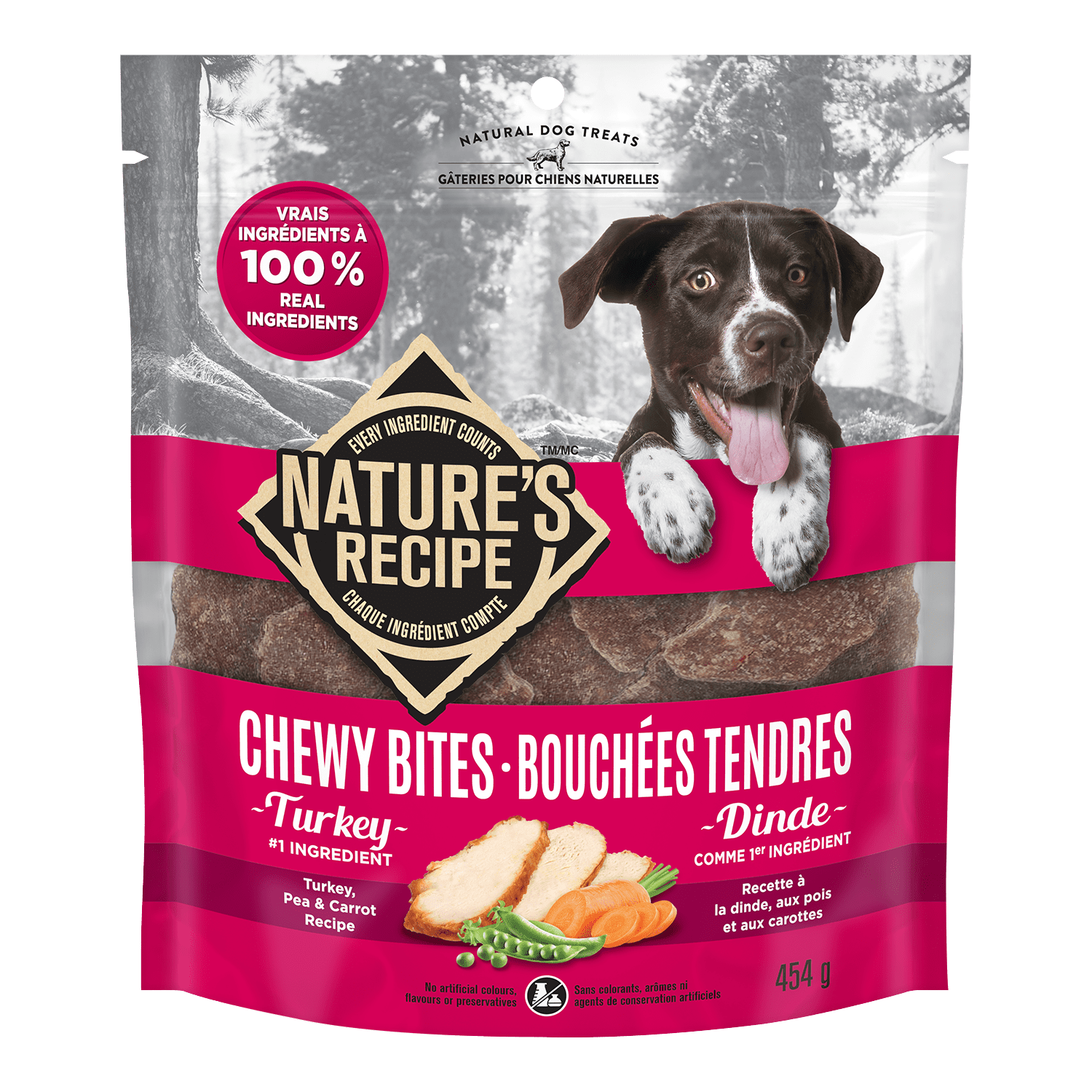 NATURES RECIPE 454G NR BITES TKY