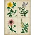 thumbnail image 2 of Maund, Benjamin 12x14 White Modern Wood Framed Museum Art Print Titled - Botanical Grid IV, 2 of 4