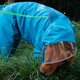 thumbnail image 5 of Chubasquero para perros grandes, impermeable amarillo con capucha, que cubre todo el cuerpoLake Blue Male Dog8XL, 5 of 5