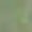 Army Green, variant on CQONEPT Women Oversize Short Sleeve Boat Neck Tank Tops Blouse Shirt Casual Flowy Summer Comfy Clothes White 3XL