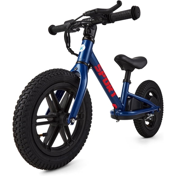 Rugerasy 24V 100W Electric Balance Bike for Ages 3-5,12in E-Dirt Bike with Inflatable Tires,Adjustable Seat & Training Wheels Option,Blue