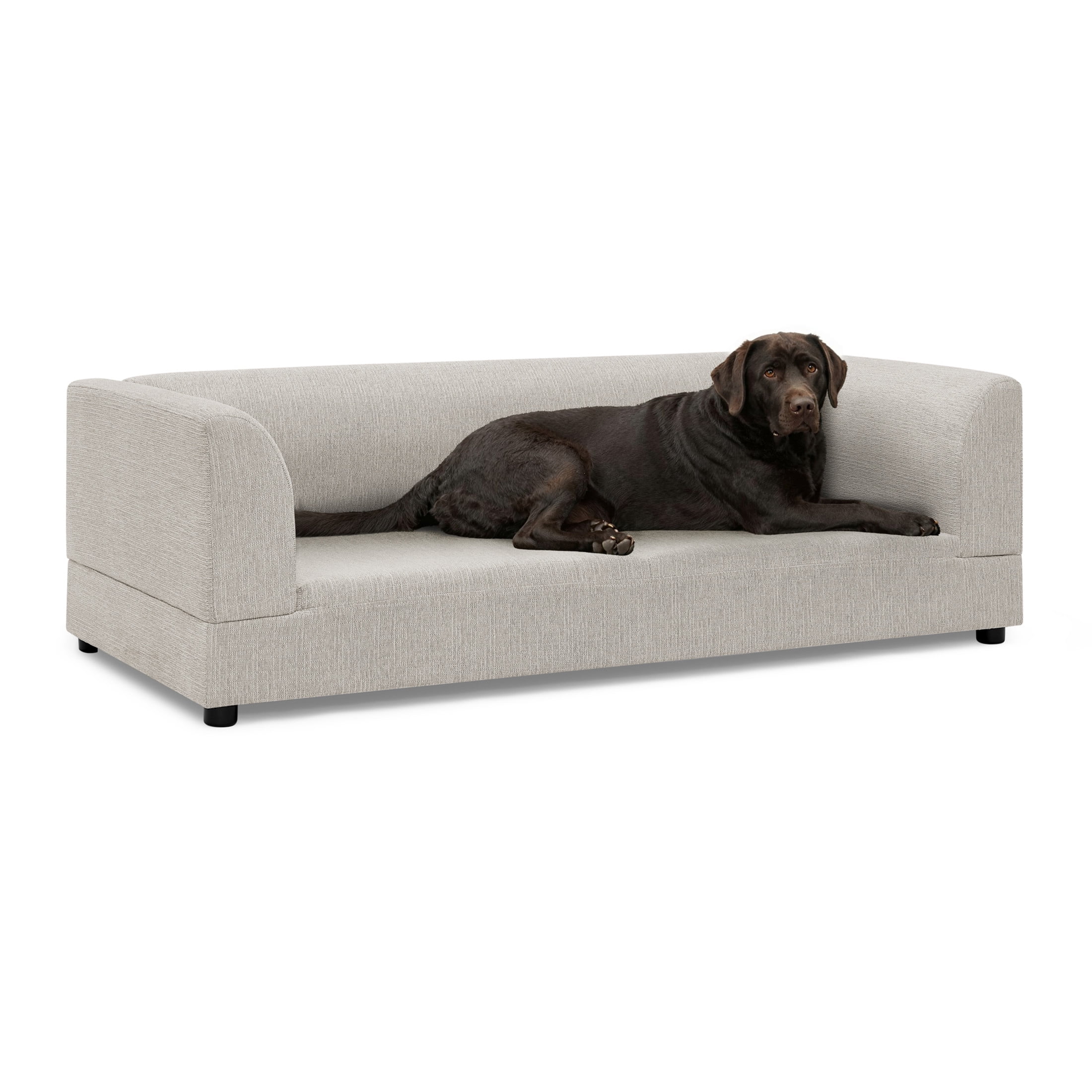 Noble House 57" Comfortable Oversized Pet Sofa, Modern Rectangular Dog Bed with Armrests and Cushion, Beige