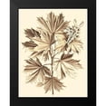 thumbnail image 2 of Munting, Abraham 20x24 Black Modern Framed Museum Art Print Titled - Sepia Munting Foliage V, 2 of 5