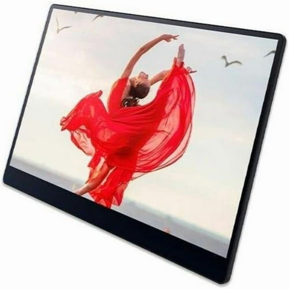 16 in. Portable Monitor