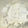 thumbnail image 2 of Roseboom, Jettie 12x12 White Modern Wood Framed Museum Art Print Titled - Paeonia I, 2 of 4