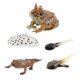 thumbnail image 3 of Figuras de animales Juguete Hugo Aprendizaje Prop Ranas Modelo de crecimiento, 3 of 10