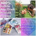 thumbnail image 2 of 144pcs Natural Dried Pressed Flowers For Resin,dry Flower Bulk Natural Herbs Kit For Candle,epoxy R, 2 of 4