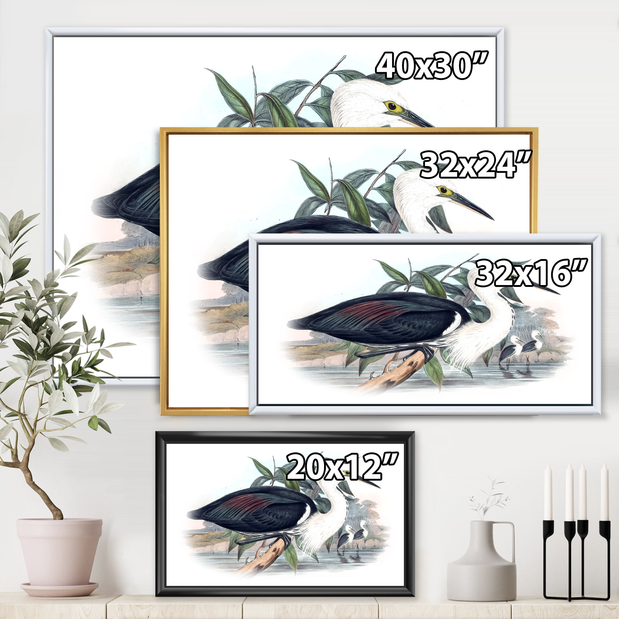 Designart 'Ancient Birds Of Australia' Traditional Framed Canvas Wall Art Print