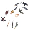 thumbnail image 3 of Ancient Marine Animal Models Set, Pinturado A Mano Ancient Marine Animal Toys Fine Workship 12 PCS Viven Vivido Para Disecuracia para Colecció, 3 of 7