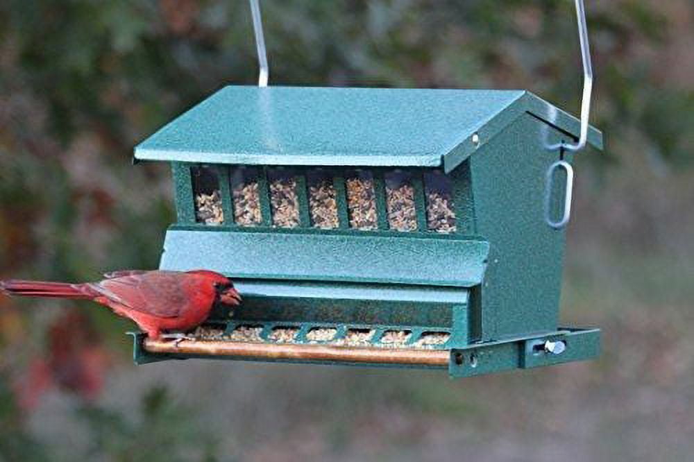 Audubon Absolute Squirrel Proof Bird Feeder with Mounting Kit for Chickadees & Finches