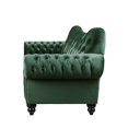 thumbnail image 3 of ACME Iberis Loveseat in Green Velvet, 3 of 6