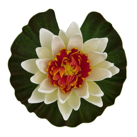 - Floating Water Lily (Colors may vary), Adds beauty to pond By Tetra Pond