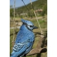 thumbnail image 6 of Hi-Line Gifts Hanging Blue Jay on a Branch Outdoor Garden Statue - 6", 6 of 8