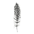 thumbnail image 4 of Gango Home Decor Contemporary Spirit Feather VII, VIIIa, & VIIIb; Three 6x18in Art Prints in White Frames, 4 of 6