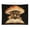 Mushroom, variant on Cozy Cottagecore Mushroom Library Tapestry 40x60 Inch, Goblincore Wall Hanging for Reading Nook & Renter Decor