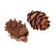 thumbnail image 3 of 100 Piezas Unidades Conos de Pino Decorativos Naturales, Flores Secas para Adornos de Navidad Artesanía DIY, 3 of 8