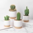 thumbnail image 2 of CAROOTU Succulent Plant Pot Double-layer Succulent Green Dill Small Green PlantFlowerpot, 2 of 6