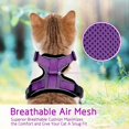 thumbnail image 4 of Cat Harness and Leash for Walking, Escape Proof Soft Adjustable Vest Harnesses for Small Medium Cats, Easy Control Breathable Reflective Strips Jacket, Black, XS(Chest: 13.5"-16"), 4 of 5