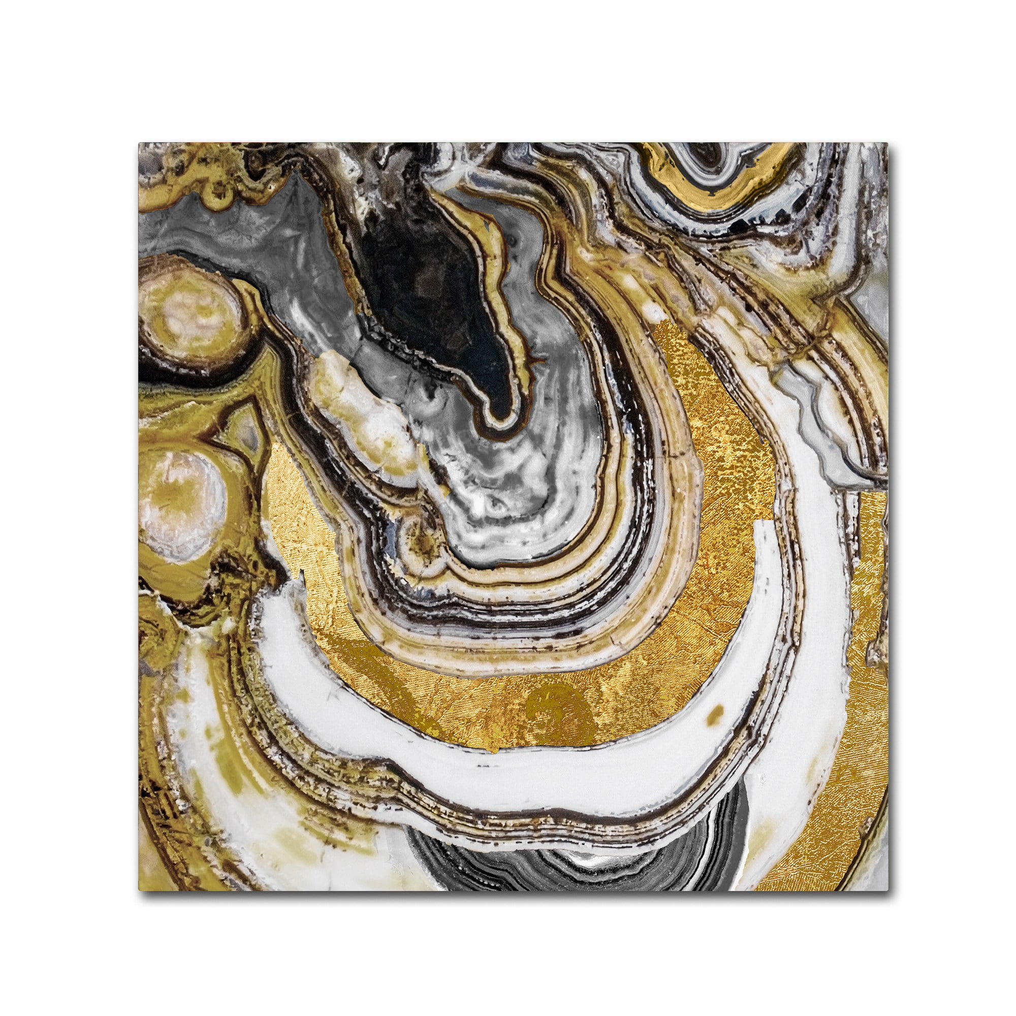 Trademark Fine Art "Stone Prose" Canvas Art by Color Bakery