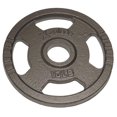 thumbnail image 1 of Progression Fitness X-Plode Olympic Weight Plate Hammertone 10lb, 1 of 2