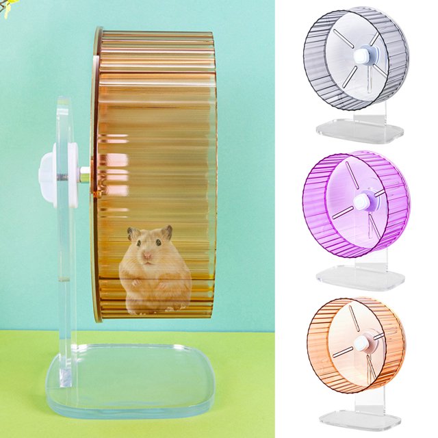 Paokuoon Roue de Hamster Facile à Installer Roue de Course pour Animaux Jouet d'Exercice Transparent pour Petits Animaux