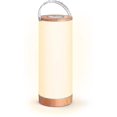 thumbnail image 1 of Lámpara de mesa YONGSHENG 2023 recargable LED para el hogar y al aire libre, 1 of 5