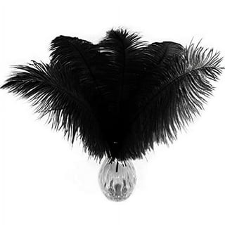 Ostrich Feathers 14-16 (10 pcs) - Black