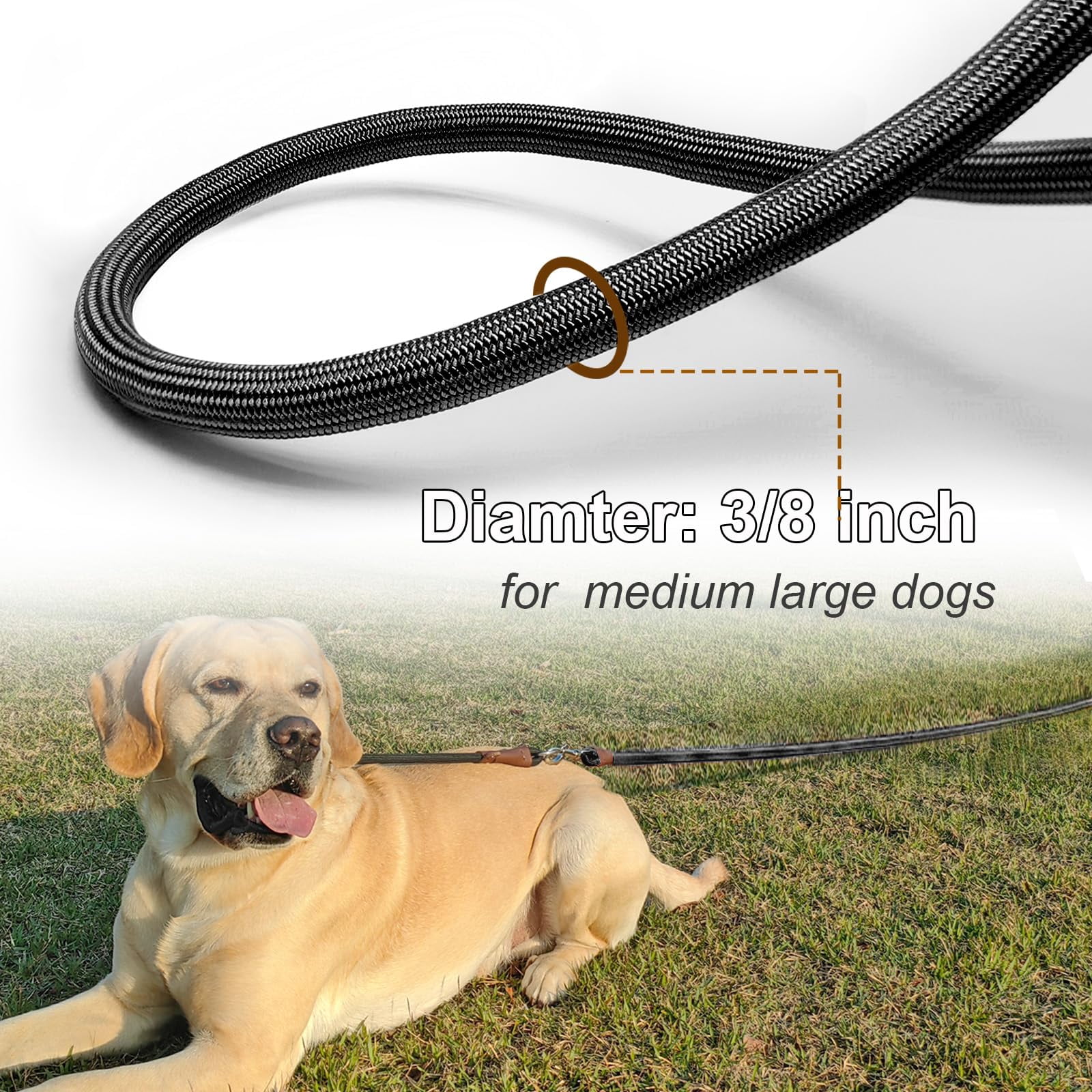 35FT Heavy Duty Nylon Dog Leash Tie Out Rope Long Tether for Medium Large Dogs Outdoor Camping Backyard Play