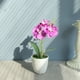thumbnail image 3 of Plantas artificiales Advancent en maceta Púrpura bajo mantenimiento, 3 of 6