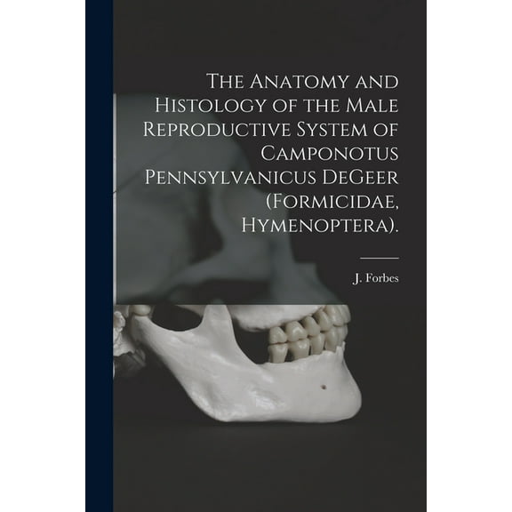 The Anatomy and Histology of the Male Reproductive System of Camponotus Pennsylvanicus DeGeer (Formicidae, Hymenoptera)., (Paperback)